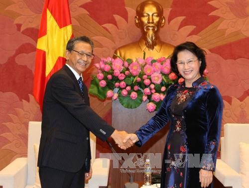 Parlamentspräsidentin Nguyen Thi Kim Ngan empfängt Botschafter aus Russland, Japan und Kuba - ảnh 1